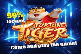 tunai4d slot live dealer studio with HD cameras and professional croupiers